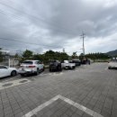 신기부화장 이미지