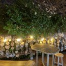 그림카페 이미지