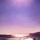 제주의별밤 이미지