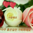 고운님 이미지