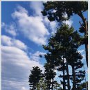 3거리커피 이미지