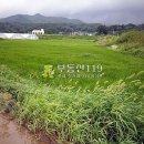 충도리농장 이미지