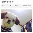 정신