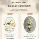 블로그&동영상제작 | 송파 부케말리기 웨딩 촬영 디즈니 부케 클레르 액자 제작 후기