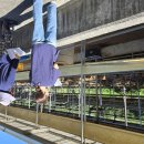 특별축사 이미지