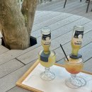 몬 펫 | | 강원 홍천 소노펫 비발디파크 | 애견 동반 방문기 🐾