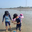 방아머리해변 화장실 이미지