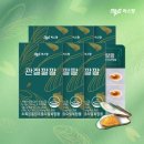 [관절 건강 정착템] 씨스팡 관절팔팔 310mg 솔직후기 (무릎관절 초록입홍합오일 추천)