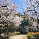 지리산한의원 이미지