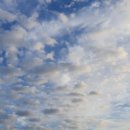 신장근린공원1 이미지