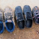 퀸스가든 이미지