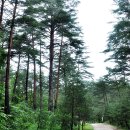 송광민박팬션 이미지