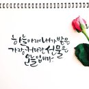 당신은 선물입니다 이미지