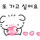 다인룸즈 이미지