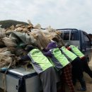 선원면-7 이미지