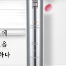 젬마인셀덤