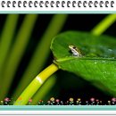 마도현대서비스 이미지