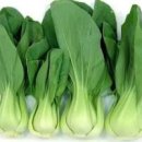 서윤농장 이미지