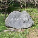 아이가 좋아하는 진천 자연 휴양림 유아 숲 체험!