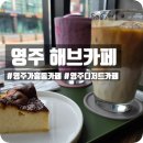 수카페24영주점 | 영주역카페 해브카페 맛있는 디저트와 커피 먹방 (애견동반카페)