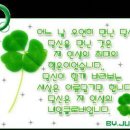 행운 이미지