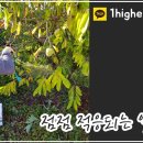 돈구농장 네이버블로그