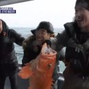 도시어부 이미지