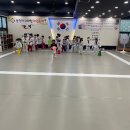 용인대 나라찬 태권도 이미지