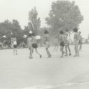 신촌초등학교 이미지