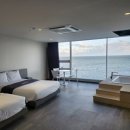 도도애견샵 | 경주 애견동반 가능한 신상 숙소 오션뷰 인피니티풀에 스파까지 샵앤플랫호텔 내돈내산후기