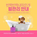 반짝반짝내작은개 이미지