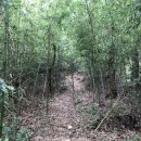 양등경로당 이미지