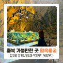 활옥동굴 호수펜션 | 충주 활옥동굴, 충북 가볼만한 겨울 여행지 (카약, 카페, 포토존)