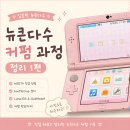 (주)인스톨 | 뉴 닌텐도 3DS LL 커펌 직접 해본 후기 | 뉴큰다수 핑크 진행 과정