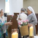 조부모와 노인의 날(24.07.28) 삼계탕 보양 이미지