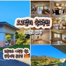 SJ빌리지 | 강원도 원주 단풍명소 추천 :) 오크밸리 노스콘도 48평형 숙박 후기