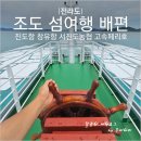 군도11호선 | 진도항에서 조도 배편 가는법 서진도농협 고속페리호 차량선적 여행
