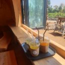 어린왕자민박 이미지