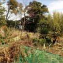 토평동-1 이미지