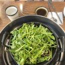오프트네일 이미지