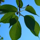 조현우정신건강의학과의원 이미지