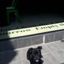 까네지노 이미지