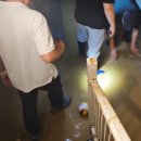 법원감정추천 [재난사고감정, 침수피해, 누수피해, 손해복구비, 누수공사비, 침수공사비, 법원특수감정] 특수분야감정, 대한기술사회, 한 이미지