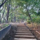 고양화전16 이미지