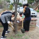 서정환경 네이버블로그