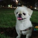 통인정 이미지