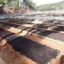 뜨락농원 이미지