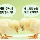 사시장춘