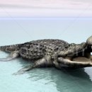 사르코수쿠스 이미지