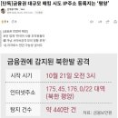 금융권 대규모 해킹 시도 IP주소 등록지는 ‘평양’ 이미지